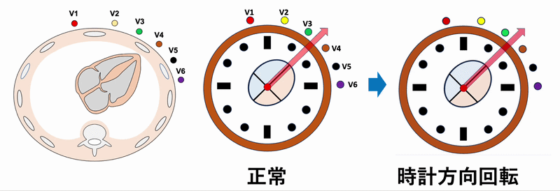 時計方向回転(clockwise rotation)