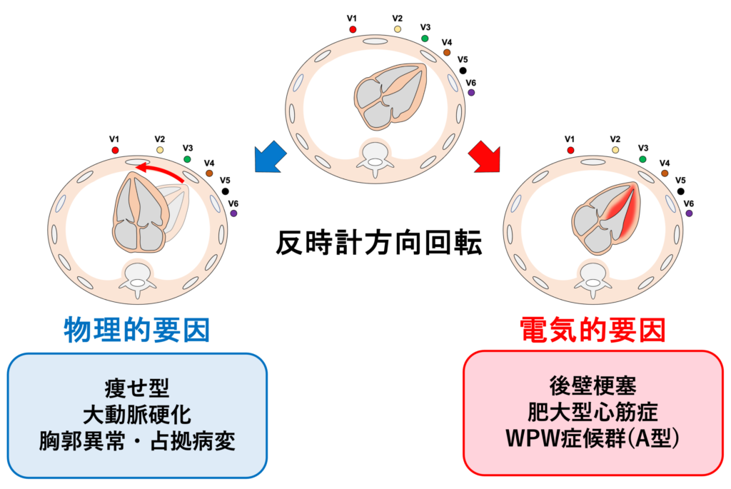 時計方向回転(clockwise rotation)