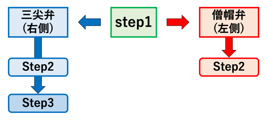 EASY-WPW
アルゴリズムには、左側副伝導路(僧帽弁:MV)の2段階アプローチと、右側副伝導路(三尖弁:TV)の3段階アプローチがそれぞれ含まれています。