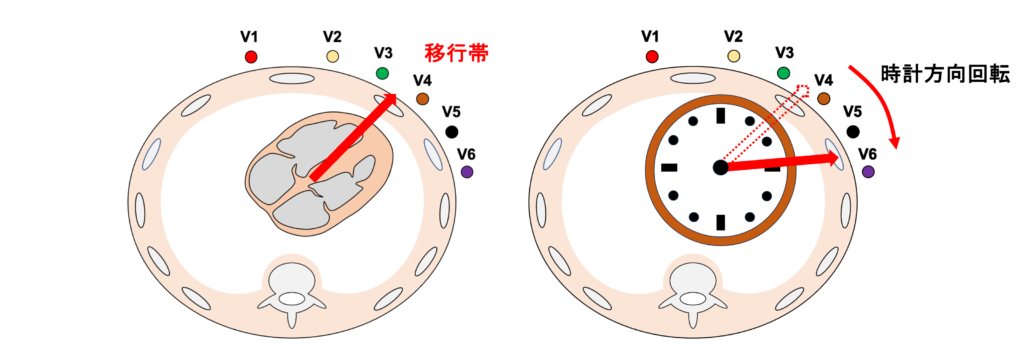 時計方向回転(clockwise rotation)