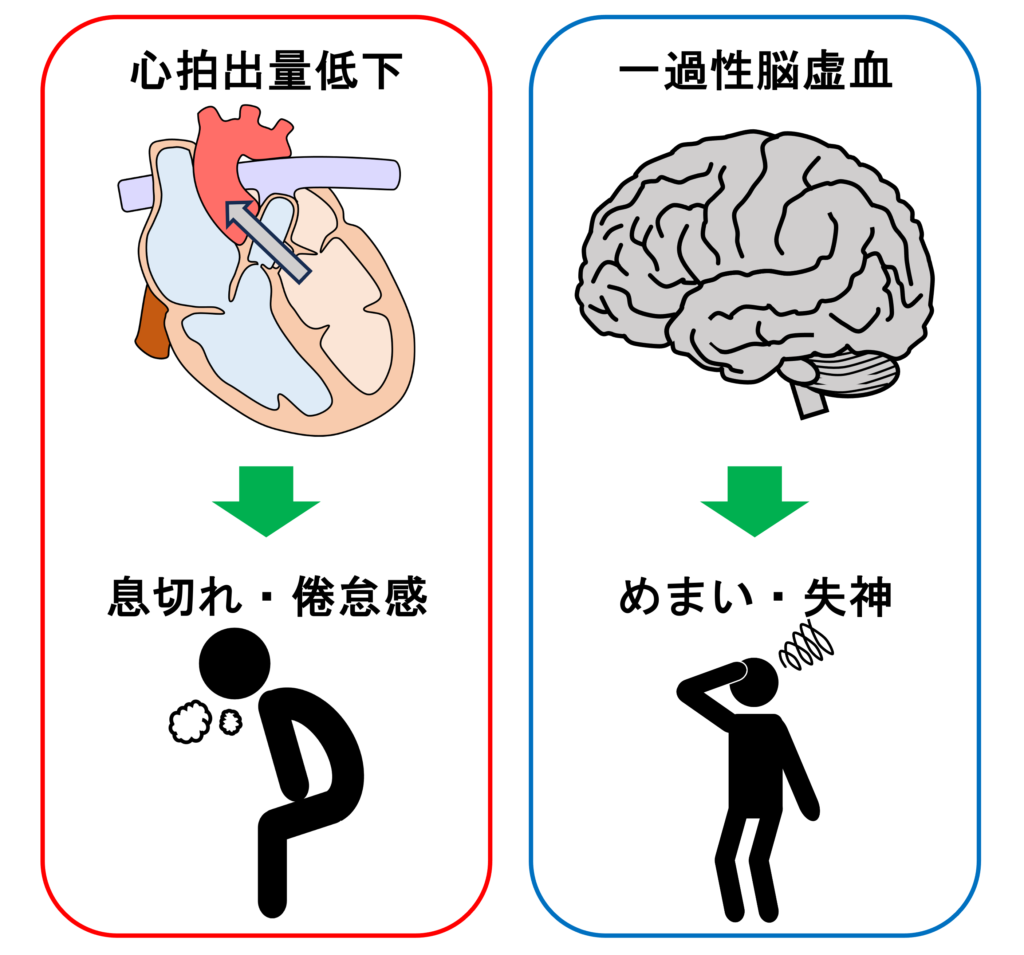 洞不全症候群(sick sinus syndrome)