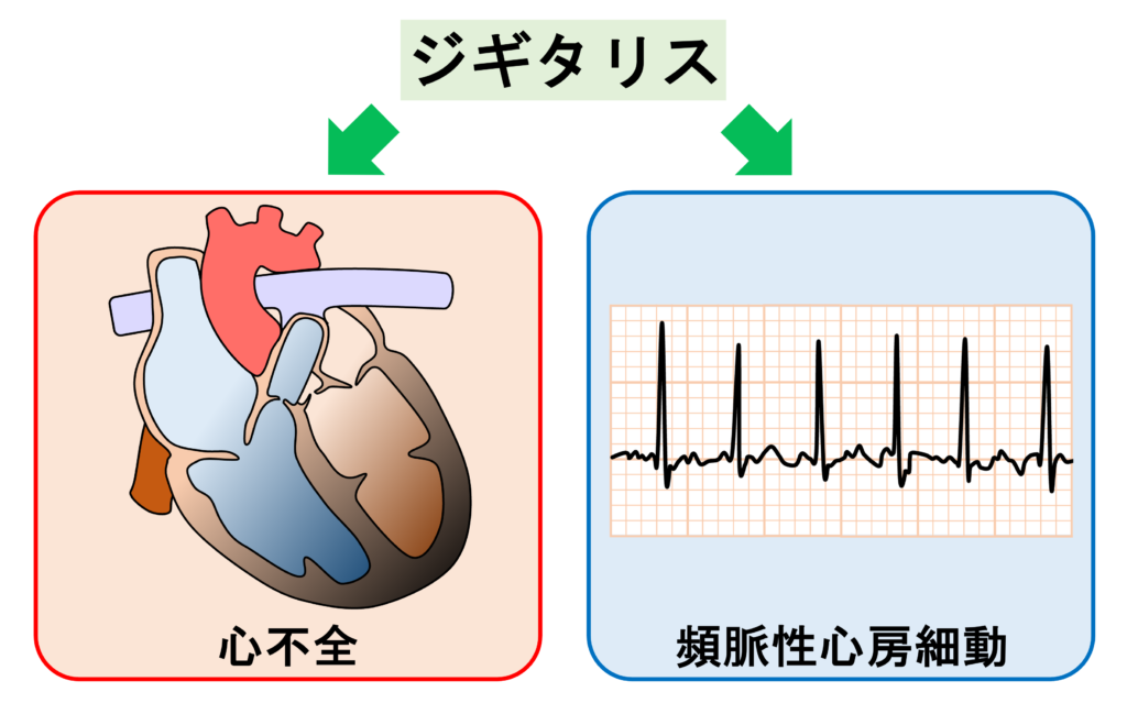 ジギタリス効果とは?