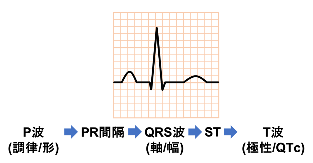 3ステップで学ぶ心電図 