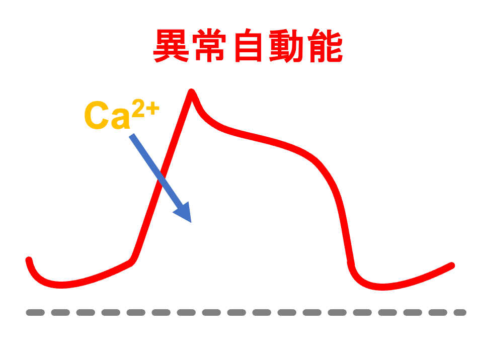 異常自動能(abnormal automaticity)