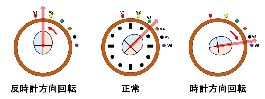 移行帯(transitional zone)