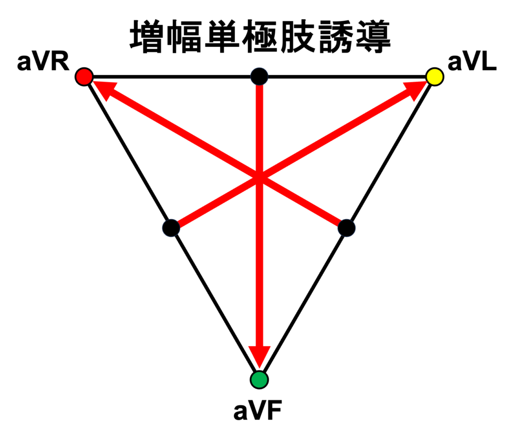 増幅単極肢誘導(augmented unipolar limb lead)