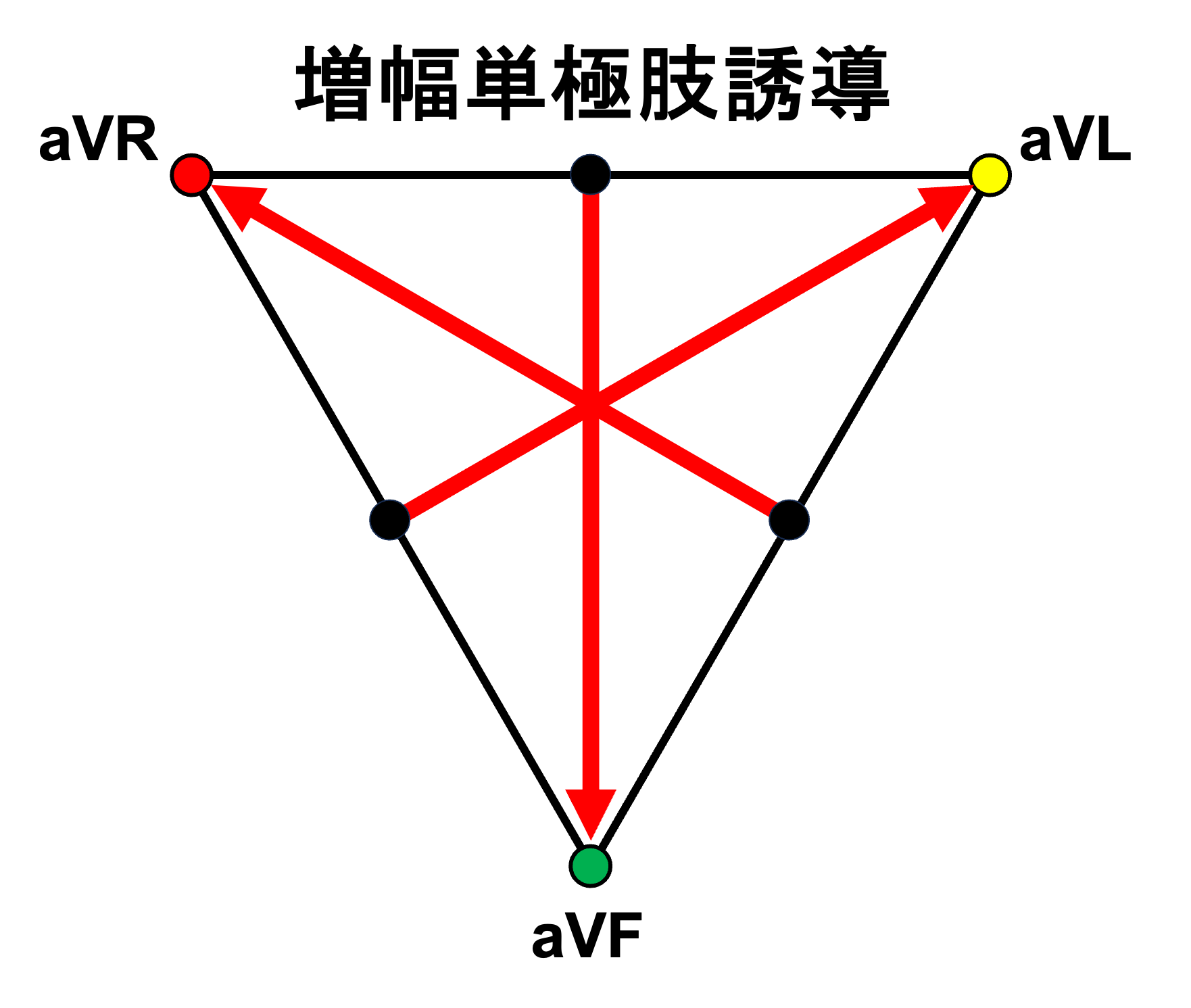増幅単極肢誘導(augmented unipolar limb lead)