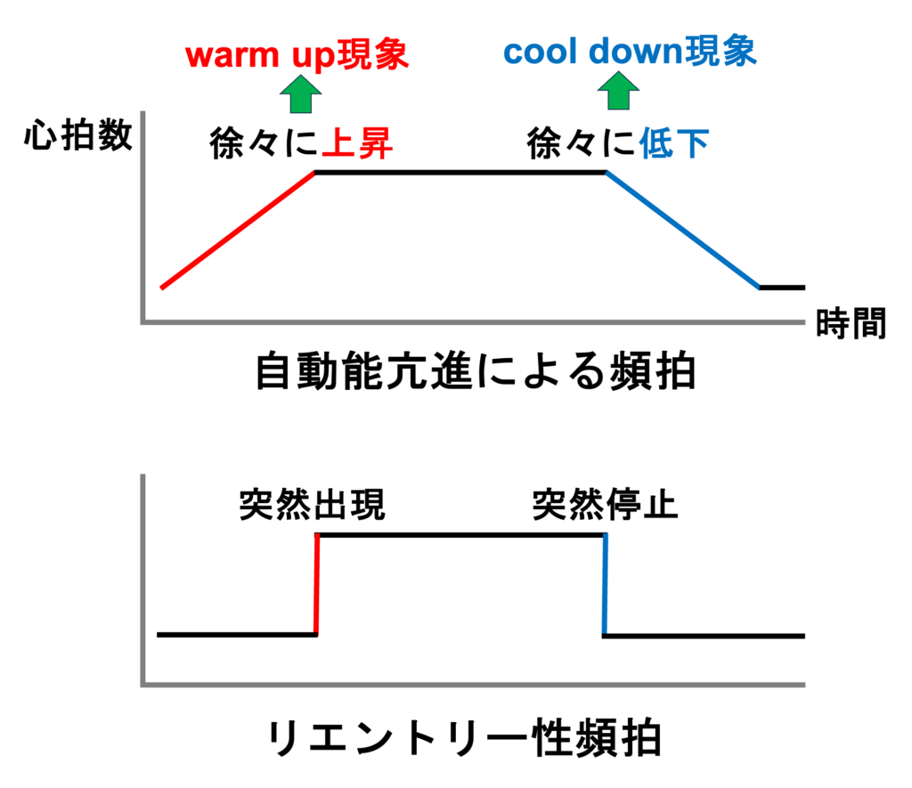異常自動能(abnormal automaticity)
自動能亢進による頻拍では開始時と停止時に特徴があります。頻拍開始時に徐々に心拍数が上昇していく現象をwarm up現象、頻拍停止時に徐々に心拍数が低下していく現象をcool down現象と呼びます。これに対して、リエントリー性頻拍では突然頻拍が発症して心拍数が上昇してほぼ一定になり、突然停止して心拍数が低下します。
