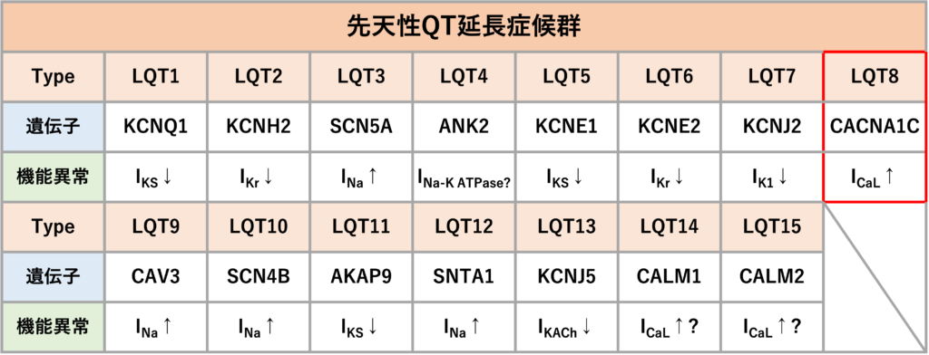 QT延長症候群8型(Long QT syndrome type 8:LQT8)