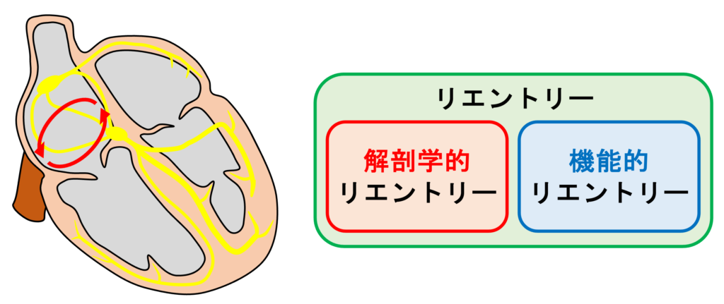 リエントリー(reentry)