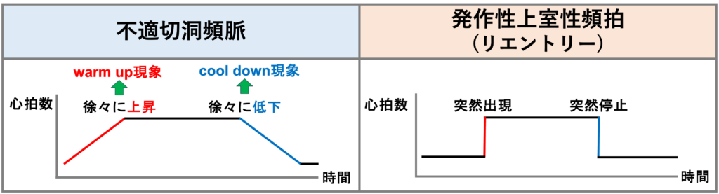 不適切洞頻脈(inappropriate sinus tachycardia)
一部の発作性上室性頻拍で見られるような突然の開始・終了ではなく、徐々に心拍数が上昇(warm up)・下降(cool down)します。