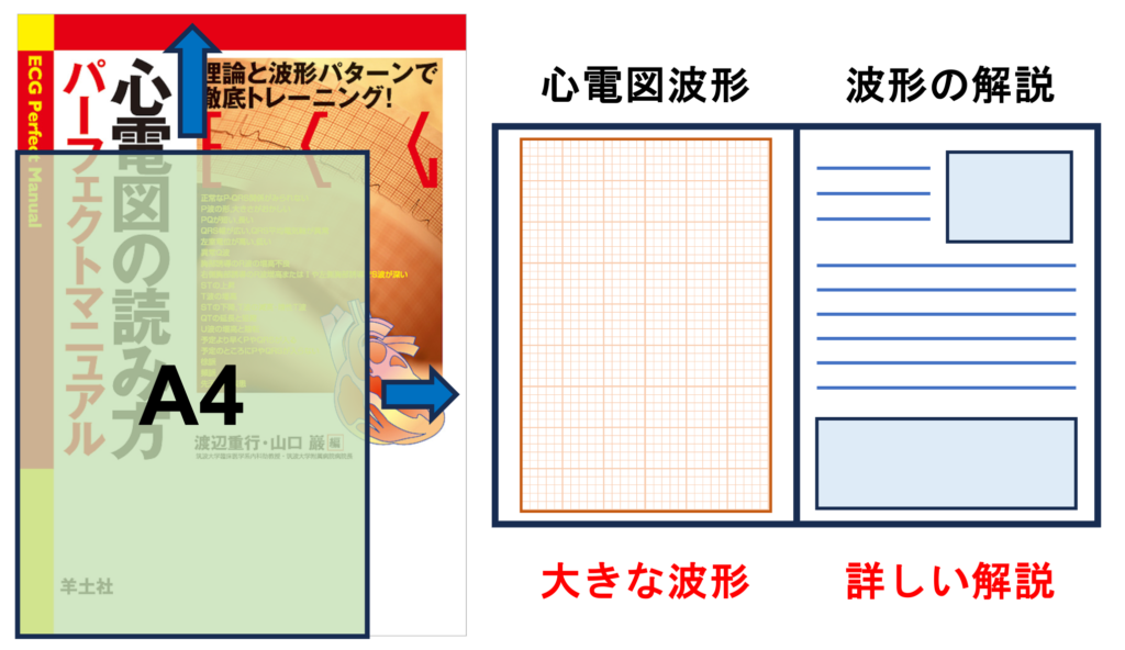 「心電図の読み方　パーフェクトマニュアル」を循環器内科医が徹底レビュー