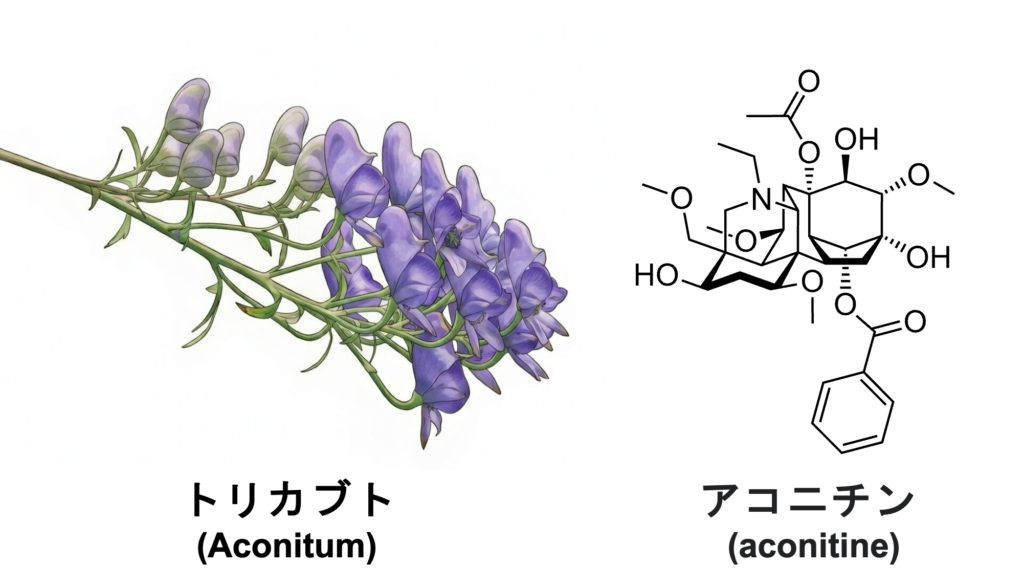 トリカブト中毒とは?