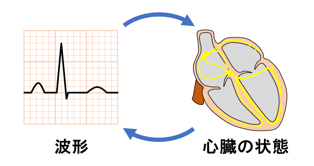「ほぼ初めての心電図 最初はここからはじまります」を循環器内科医が徹底レビュー