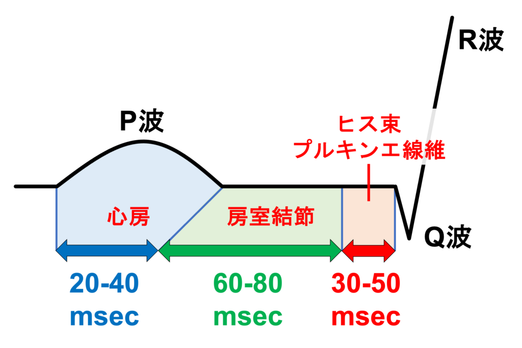 PQ間隔(PQ interval)