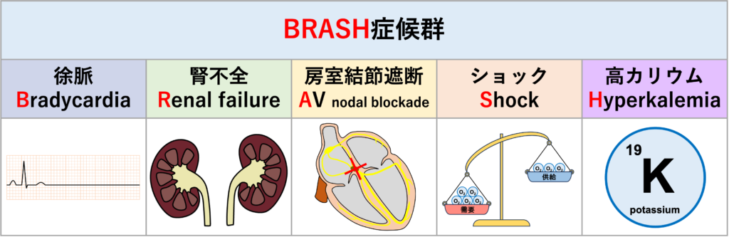 BRASH症候群とは？