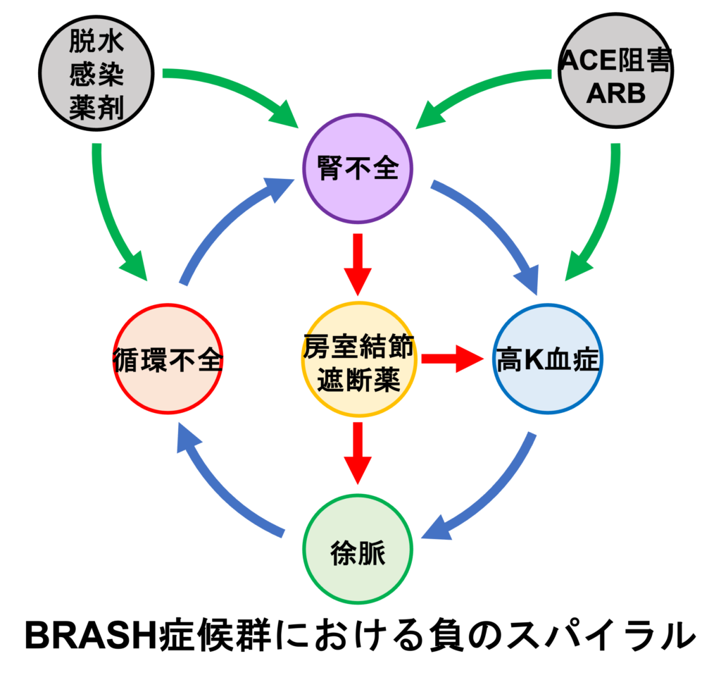 BRASH症候群とは？