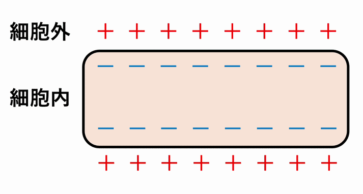 局所電流(local current)