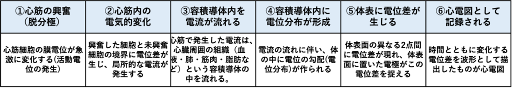 容積導体(volume conductor)