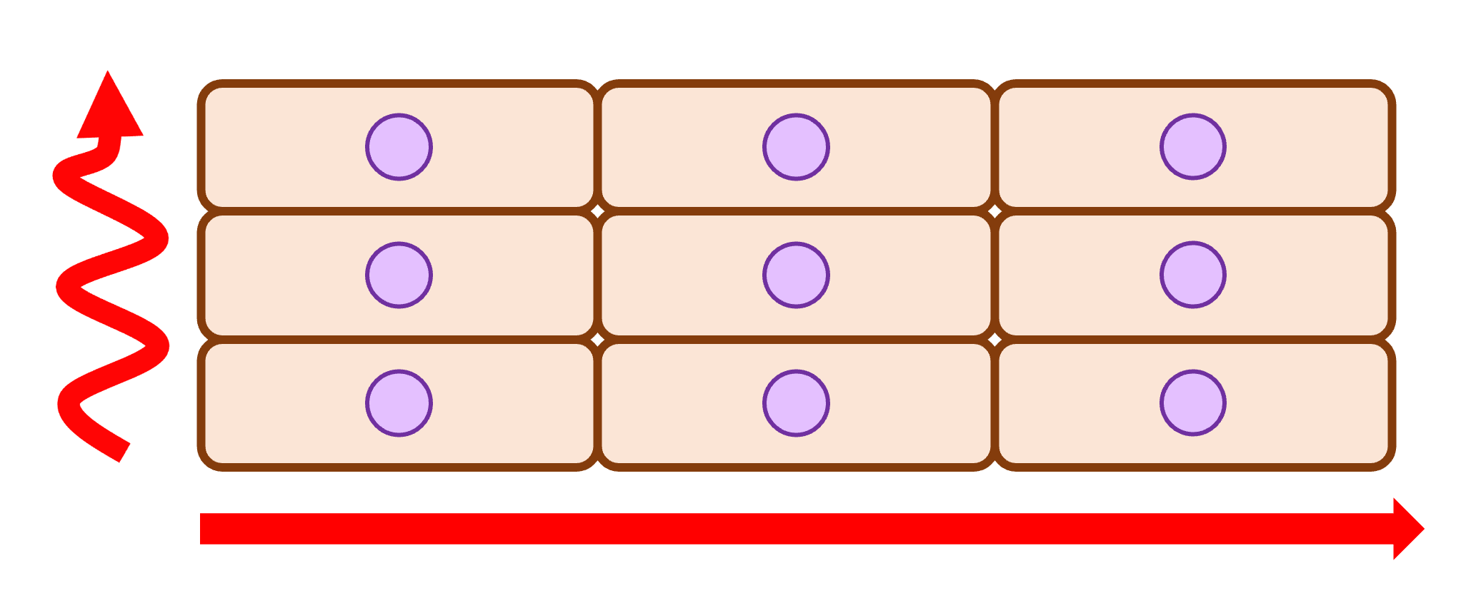 異方性伝導(anisotropic conduction)