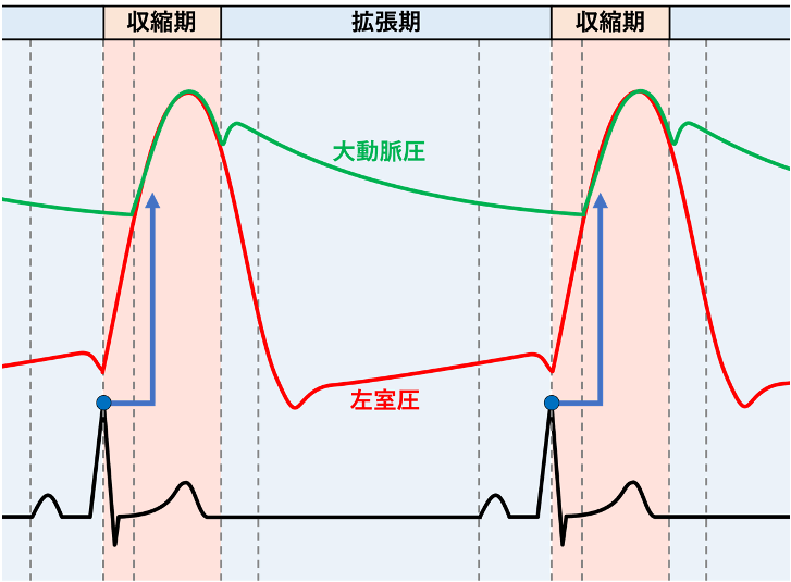 Aslanger’s signとは?
QRS波とアーチファクトの間隔に関しては、心臓が収縮してから末梢動脈に脈波が到達するまでにかかる時間が影響しています。心周期の図からも分かるようにR波のピークから大動脈の脈波の立ち上がり〜ピークまでは時間がかかります。