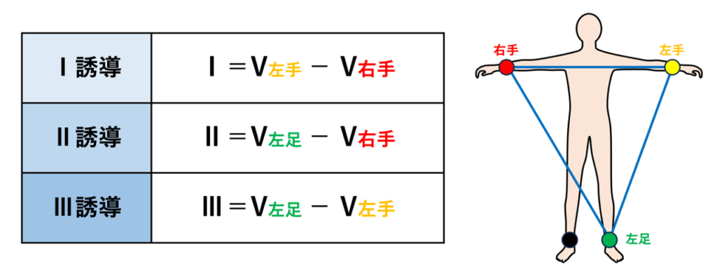 Einthovenの法則(Einthoven's law)